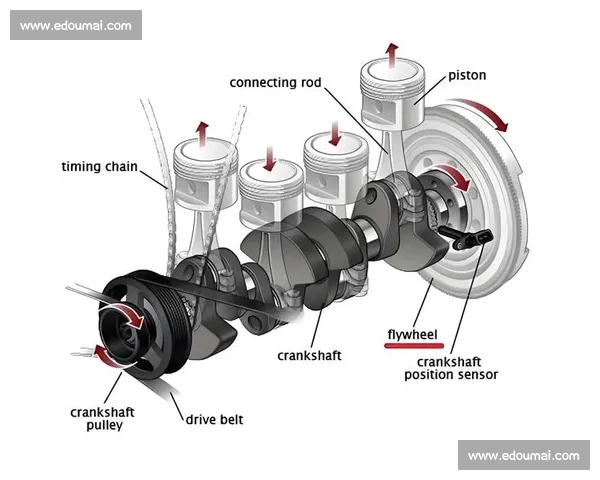 科学掌握椭圆机使用方法提升燃脂效率与关节保护训练安全与长期坚持